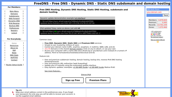 WebRun in FreeDNS: check every subdomain's expiration deadline