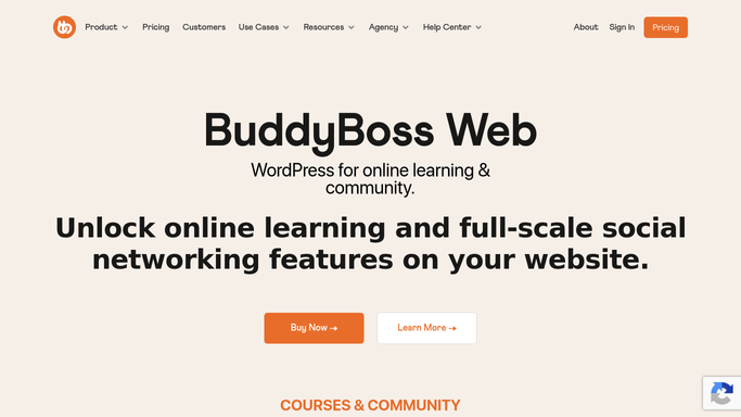 WebRun in BuddyBoss: find unanswered posts