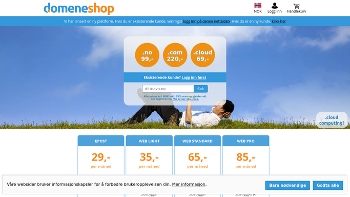 WebRun in Domeneshop: check domain and hosting renewal dates