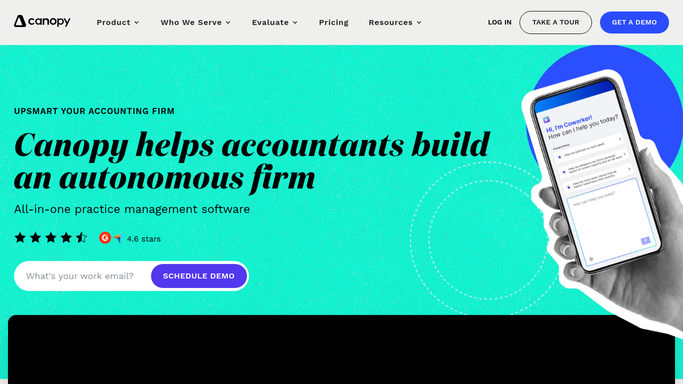 WebRun in Canopy: read the status of all open returns