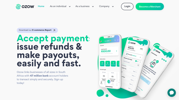 WebRun in Ozow: check today's failed or disputed payments