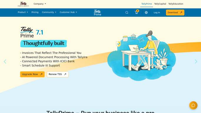 WebRun in Tally: stage the categorized entry